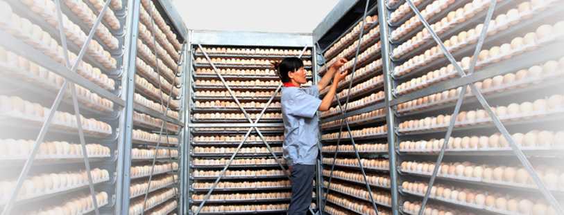 国产亚洲福利在线视频