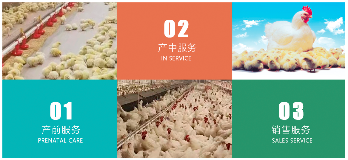 国产亚洲福利在线视频